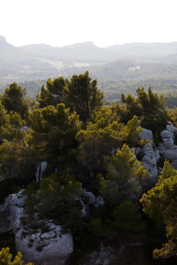 Le Mas Angelou Maussane-les-Alpilles Exterior photo